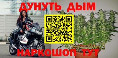 сатива Аргун