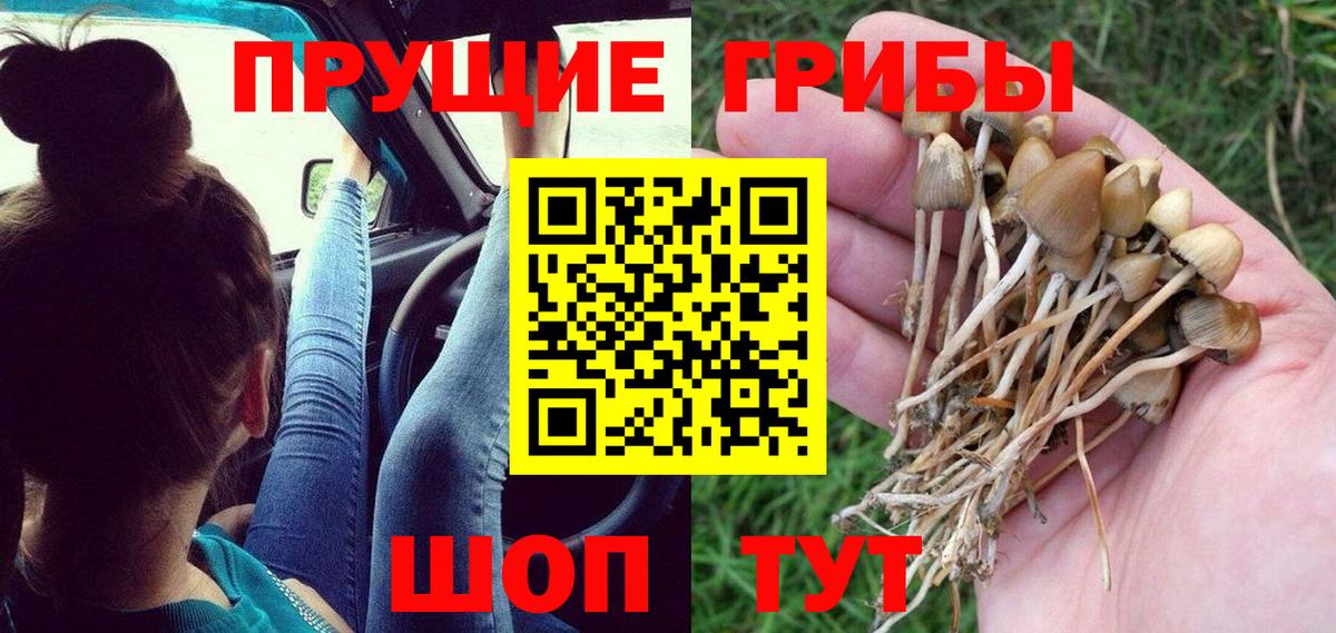 Псилоцибиновые грибы MAGIC MUSHROOMS  Вход с VPN  Алапаевск 