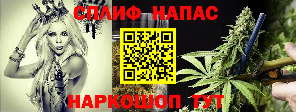 Бошки Шишки планчик Алапаевск
